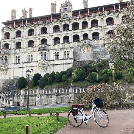 Gite Blois Chatel エクステリア 写真