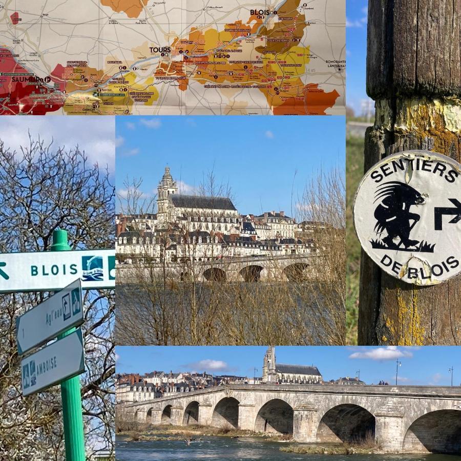 Gite Blois Chatel エクステリア 写真
