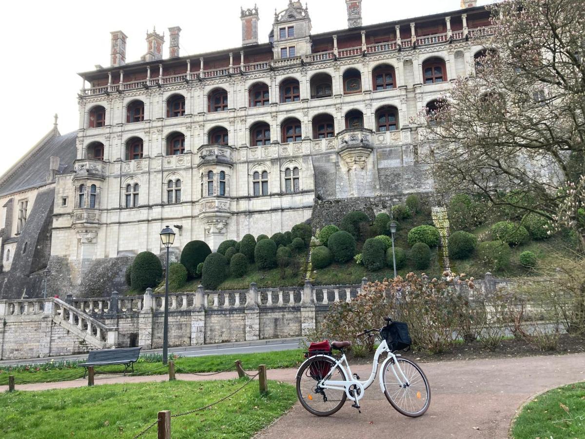 Gite Blois Chatel エクステリア 写真